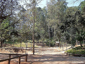 Parque Municipal Chico Mendes