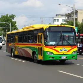 Viação Urubupungá
