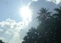 previsão do tempo hoje para Osasco