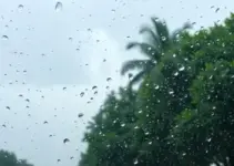 previsão do tempo hoje para Osasco