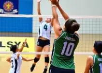 Paulista Feminino de Vôlei