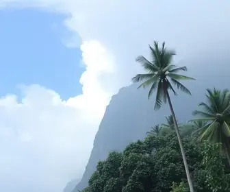 previsão do tempo em Osasco